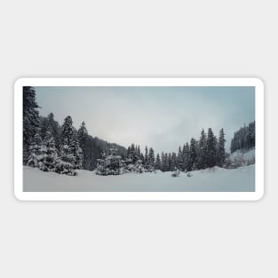 fir forest panorama Sticker